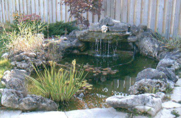 Patterned concrete, stonework and landscaping by Absolute Home Creations — project 6